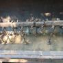 Dung spreader Image 4