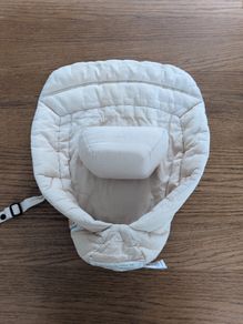 Ergobaby 360 infant insert