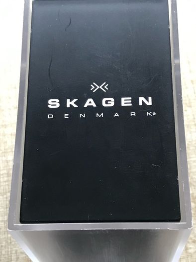 skagen watch