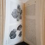 The Detection and Control of Garden Pests by G. Fox Wilson (HQ540) Image 5