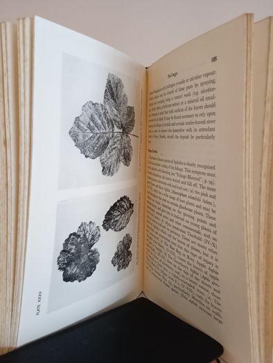 The Detection and Control of Garden Pests by G. Fox Wilson (HQ540)