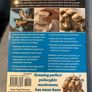 The Psilocybin Mushroom Bible Magic Mushies Book Image 2