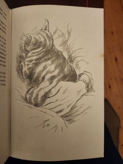 My Five Tigers. The Cats In My Life. By Lloyd Alexander. First Edition 1956.  Hardback With Dustjacket In Good Condition. 37.