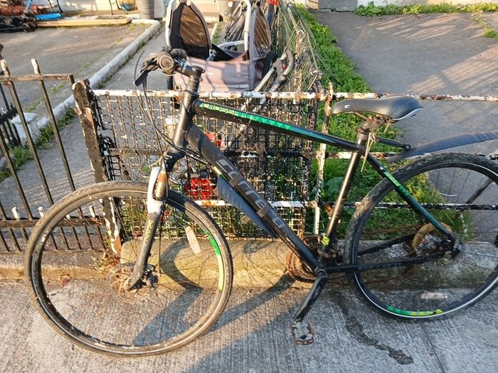 carrerra bike