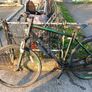 carrerra bike Image 2