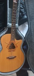 Acoustic guitar