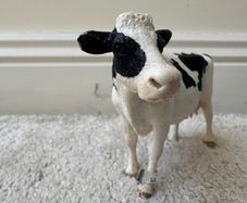 Schleich Farm Animal Dairy Cow Figure D-73527 Used approx. 8 cm. Damaged Please see photos