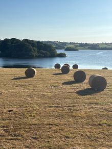 Round bales of hay