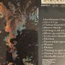 Hothouse Flowers - Home. Image 2