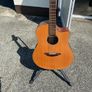 Breedlove solo semi acoustic Guitar Image 2