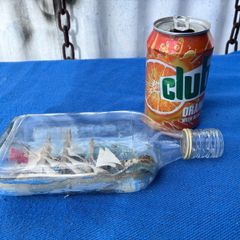 Ship in a bottle