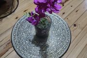 orchid flower