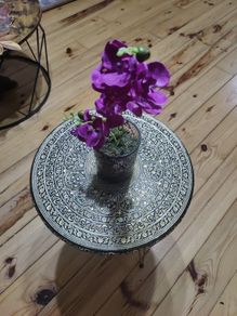 orchid flower