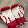 Everlast Boxing Gloves Image 2
