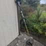 Petrol strimmer Image 6