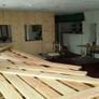 Douglas fir Image 2
