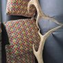 Deer Antlers Image 4