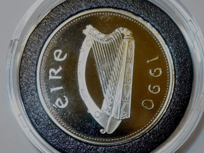 Frosted Proof Cupro-nickel One Pound Coin Issued In 1990