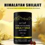 Pure Himalayan Shilajit Gummies Immune Support with Ashwagandha Image 2
