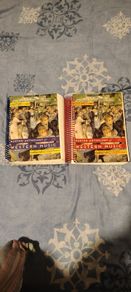 Norton Anthology of Western Music Volumes 2 & 3, 7th edition