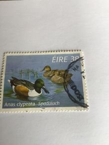Irish stamp - Anas Clypeata