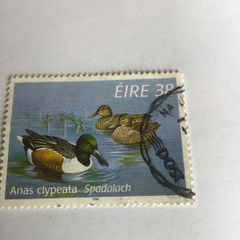 Irish stamp - Anas Clypeata