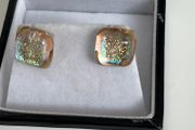 Glass Stone Earrings