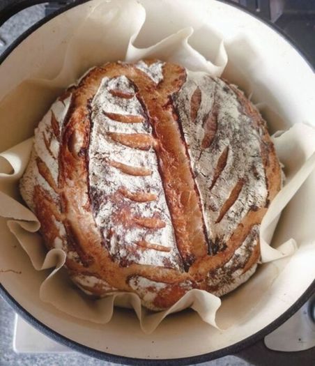 Sourdough Starter