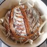 Sourdough Starter Image 3