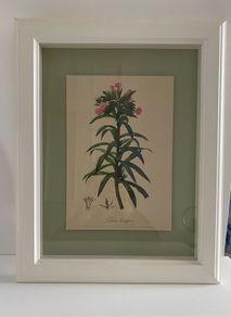 Print -Drogheda
