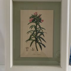 Print -Drogheda