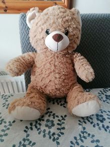 Teddy Bear