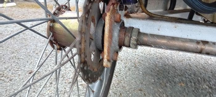 Ebike Rickshaw