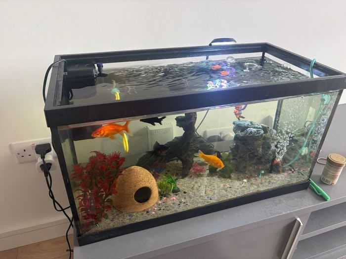 65L Fish Tank