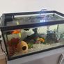 65L Fish Tank Image 2