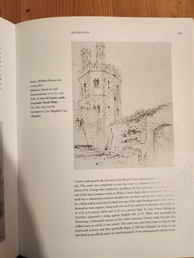 The Brocas Collection. An Illustrated Selective Catalogue 0f Original Watercolours, Prints, And Drawings In The National Museum Of Ireland.  By Patricia Butler. First Edition Large Volume Paperback In Good Condition.