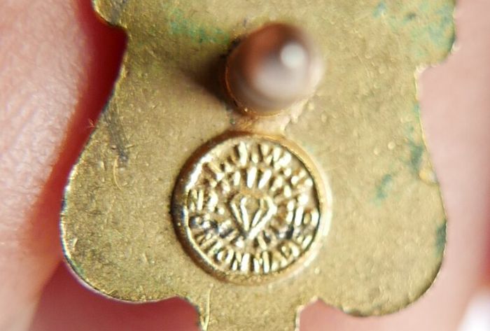 Vintage Irish Ancient Order Of Hibernian Enamel Badge