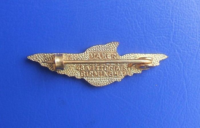 Unidentified airline badge (c.1970s)