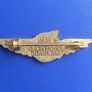 Unidentified airline badge (c.1970s) Image 2