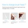 New Slim Travel Battery Electric Toothbrush Waterpoof Portable Battery Operated Sonic Toothbrush 3 Brush Heads SG915(Pink) Image 2