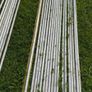 Build-a-ball frame & butterfly netting Image 2