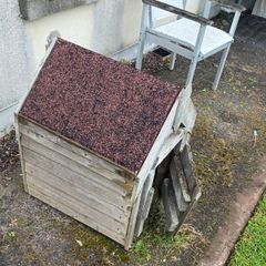 Kennel