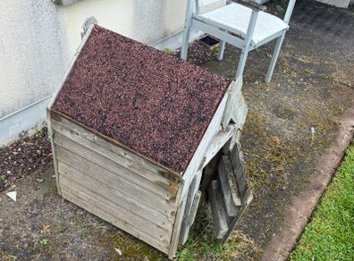 Kennel