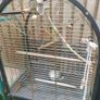 parrot cage Image 3