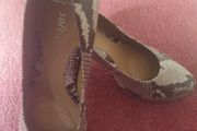 high heels shoe