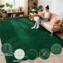 160x230cm Area Rugs for Bedroom, Washable Rug Antiskid Shaggy Carpets Suit for Bedroom Dorm Nursery Kids Room Office Lounge Home Decor, Green Image 4