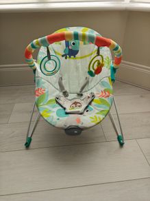 Baby Bouncer