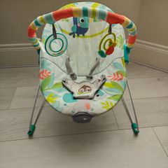 Baby Bouncer