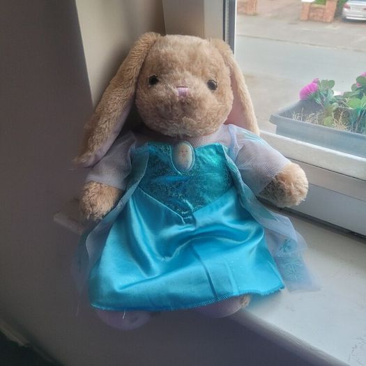 Elsa Build A Bear