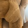 large teddy bear Image 8